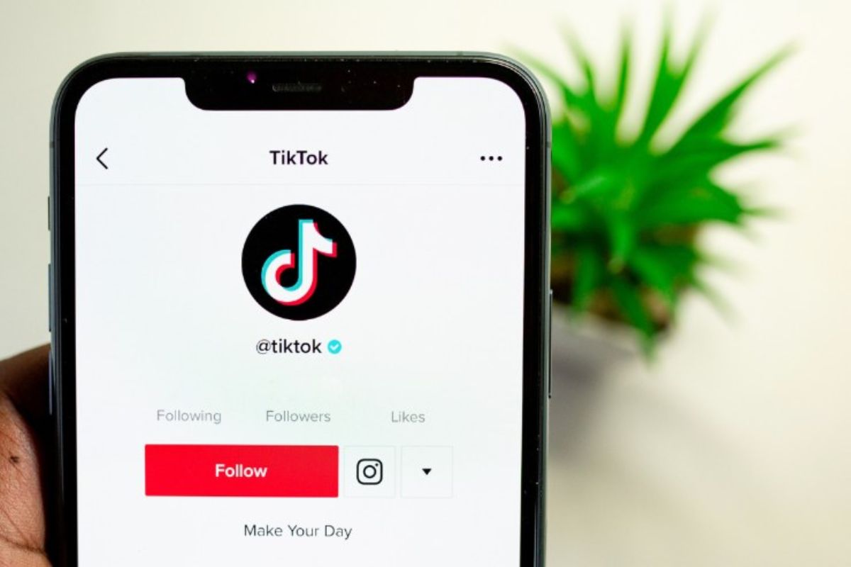 quali dati vengono raccolti da tiktok