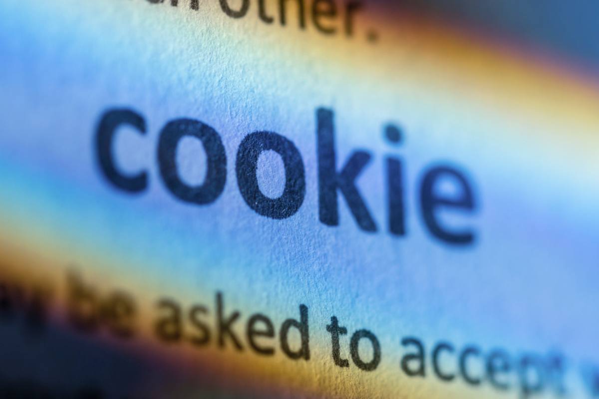 come eliminare i cookie su iphone