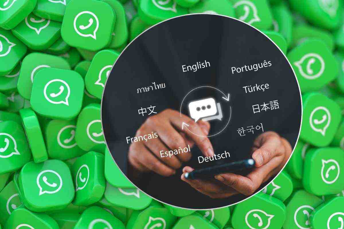WhatsApp, you can now translate messages directly in the chat: News