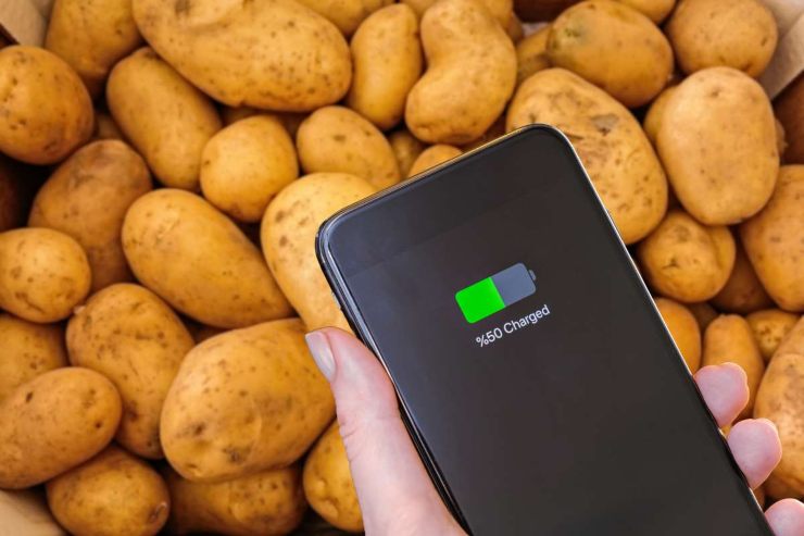 Patate Smartphon